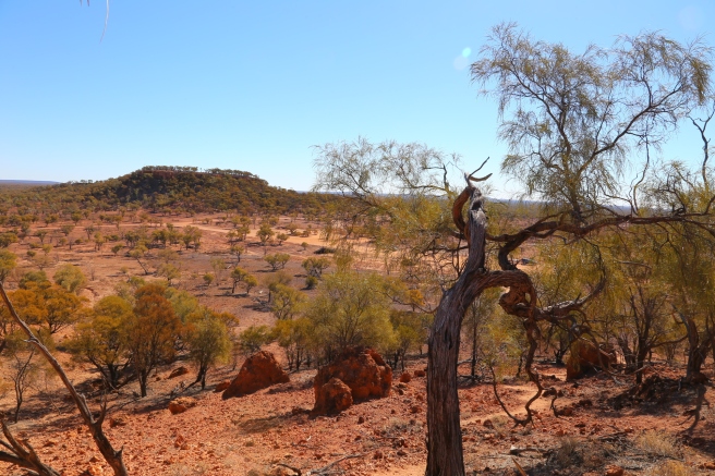 View from Baldy Top Lookout near Quilpie